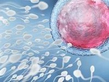 河南十大正规助孕公司推荐（郑州专业助孕机构护航好孕来）